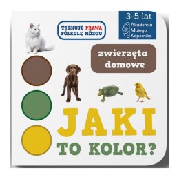 Jaki to kolor? Zwierzeta domowe