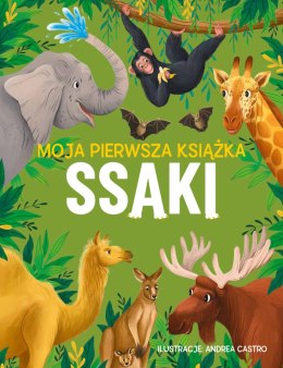 Ssaki. Moja pierwsza książka