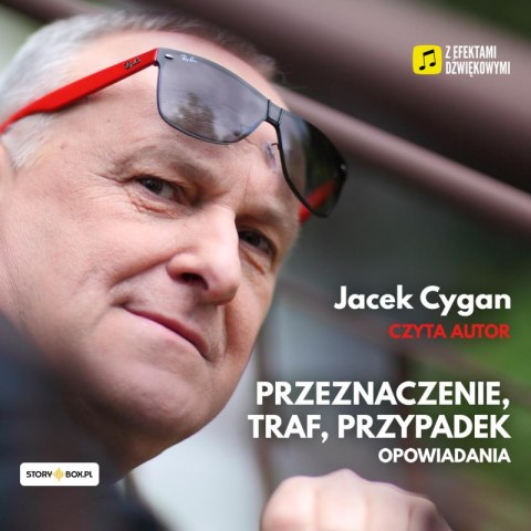 CD MP3 Przeznaczenie, traf, przypadek