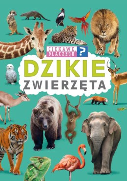 Dzikie zwierzęta. Ciekawe, dlaczego?