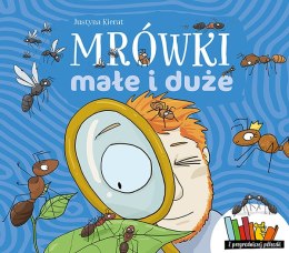 Mrówki małe i duże