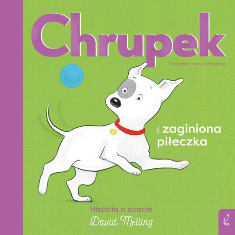 Chrupek i zaginiona piłeczka Chrupek i zaginiona piłeczka