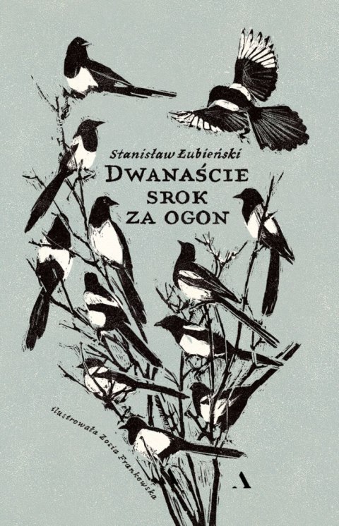 Dwanaście srok za ogon Dwanaście srok za ogon