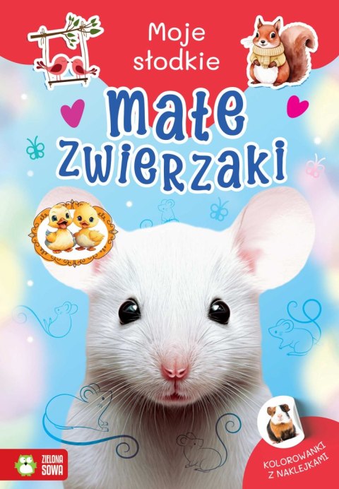 Małe zwierzaki. Moje słodkie zwierzaki Małe zwierzaki. Moje słodkie zwierzaki