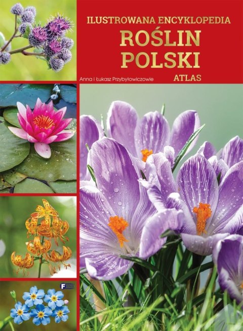 Ilustrowana encyklopedia roślin Polski. Atlas Ilustrowana encyklopedia roślin Polski. Atlas