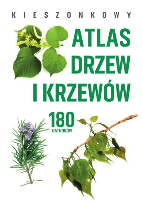 Kieszonkowy atlas drzew i krzewów. 180 gatunków Kieszonkowy atlas drzew i krzewów. 180 gatunków