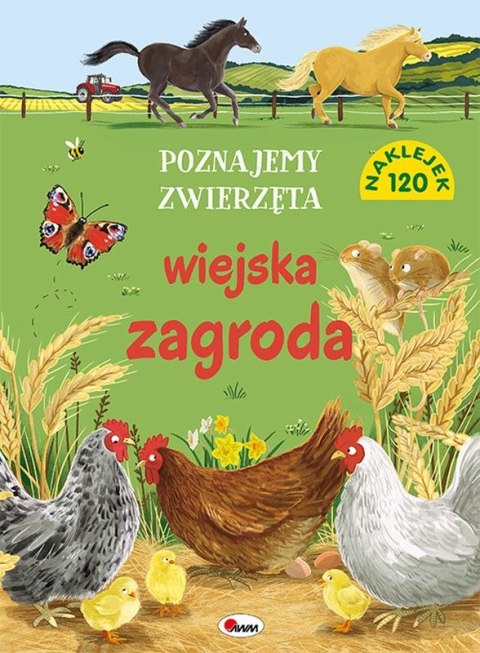 Wiejska zagroda. Poznajemy zwierzęta Wiejska zagroda. Poznajemy zwierzęta