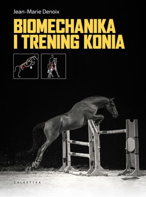 Biomechanika i trening konia Biomechanika i trening konia