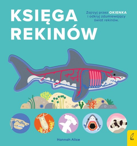 Księga rekinów. Encyklopedia z folią Księga rekinów. Encyklopedia z folią