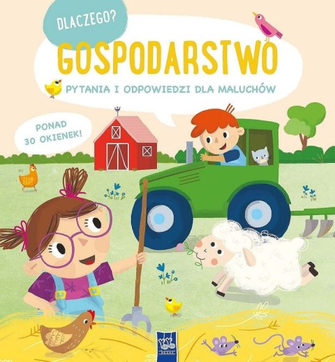 Dlaczego? pytania i odpowiedzi dla maluchów. Gospodarstwo Dlaczego? pytania i odpowiedzi dla maluchów. Gospodarstwo