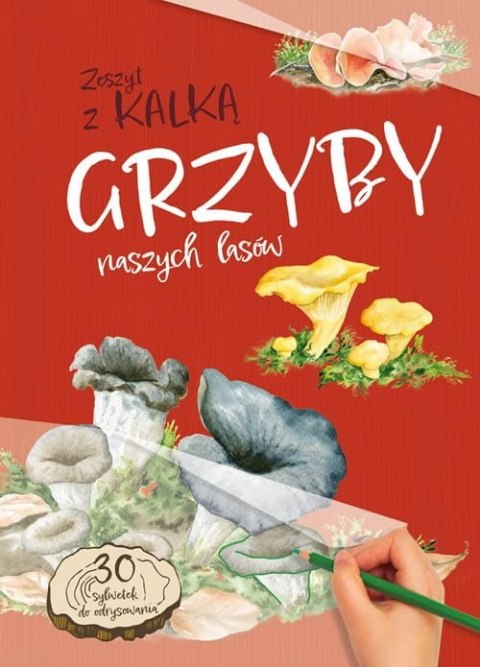 Grzyby naszych lasów. Zeszyt z kalką wyd. 2025 Grzyby naszych lasów. Zeszyt z kalką wyd. 2025