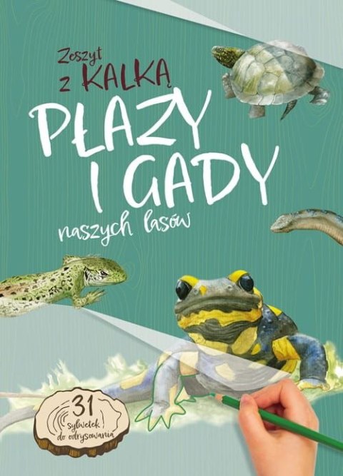 Płazy i gady naszych lasów. Zeszyt z kalką wyd. 2025 Płazy i gady naszych lasów. Zeszyt z kalką wyd. 2025
