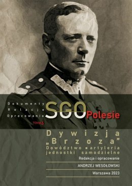 Dywizja 