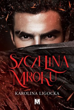 Szczelina mroku