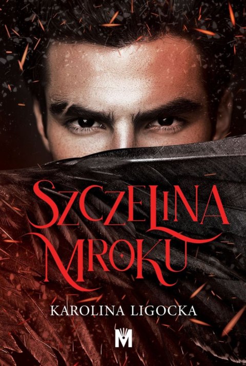 Szczelina mroku Szczelina mroku