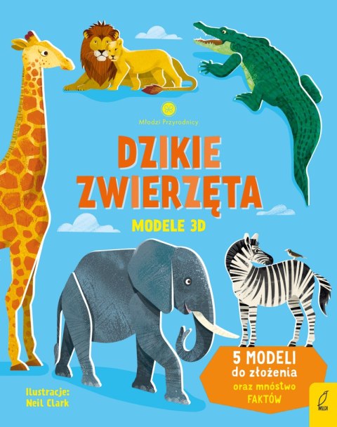 Dzikie zwierzęta. Modele 3D. Młodzi przyrodnicy Dzikie zwierzęta. Modele 3D. Młodzi przyrodnicy
