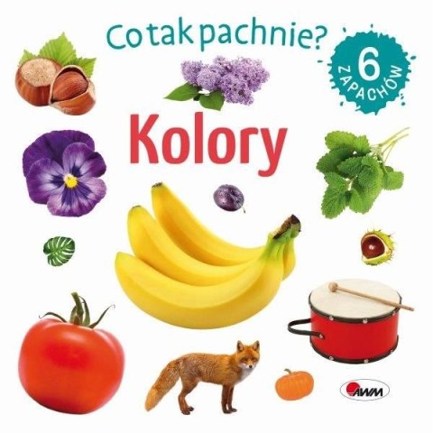Kolory. Co tak pachnie? Kolory. Co tak pachnie?