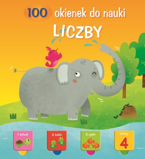 Liczby. 100 okienek do nauki