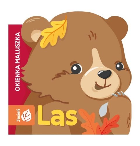 Las. Okienka maluszka