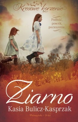 Ziarno. Podłość, powrót, pocieszenie. Duże Litery