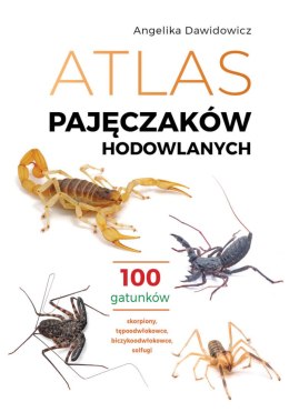 Atlas pajęczaków hodowlanych. 100 gatunków
