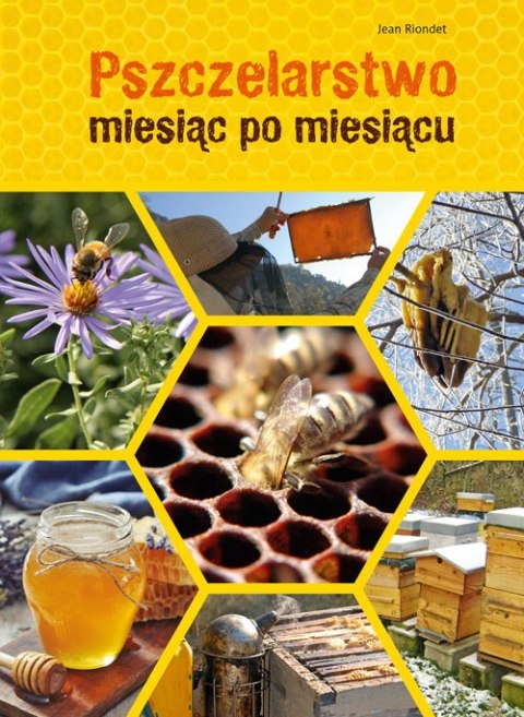 Pszczelarstwo miesiąc po miesiącu