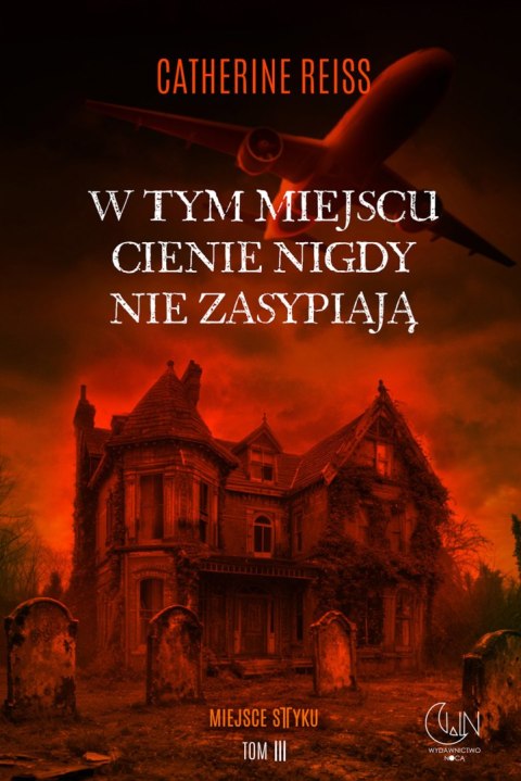 W tym miejscu cienie nigdy nie zasypiają. Miejsce styku. Tom 3