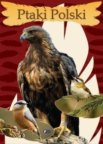 Ptaki Polski