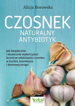 Czosnek. Naturalny antybiotyk