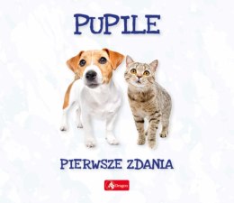 Pupile. Pierwsze zdania