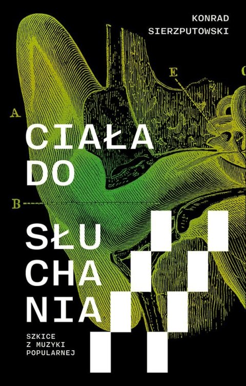 Ciała do słuchania. Szkice z muzyki popularnej